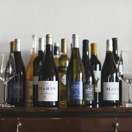 Domaine De Terrac *