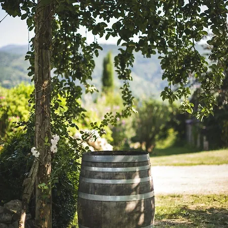 Domaine De Terrac