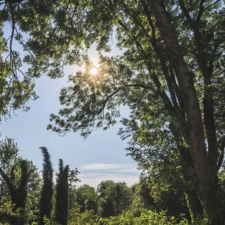 Bed & Breakfast Domaine De Terrac *