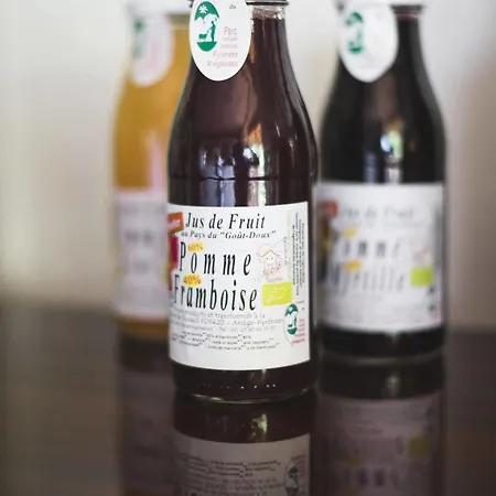 Domaine De Terrac Отель типа 