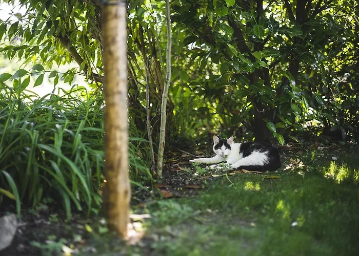 Domaine De Terrac فندق مبيت وإفطار