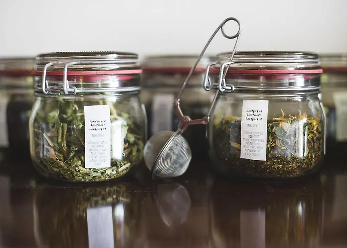 Domaine De Terrac Rimont